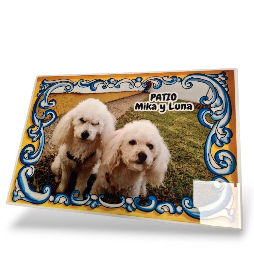 photo 2026 01 17 21 06 14