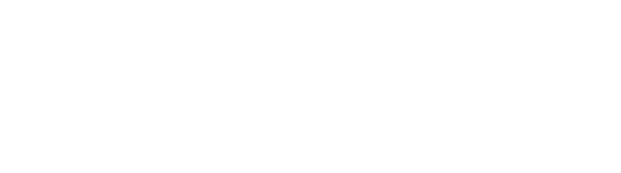 Bizum